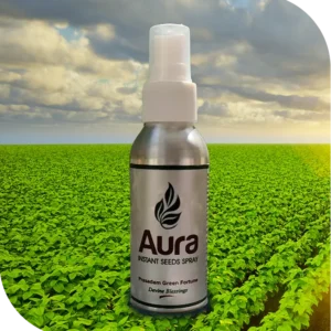 Aura