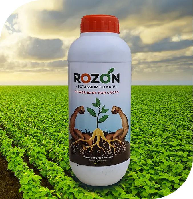 Rozon