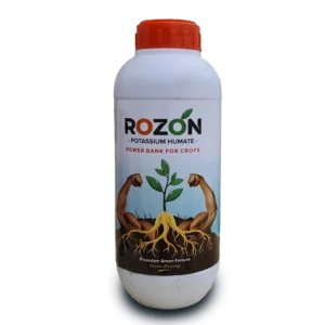 Rozon