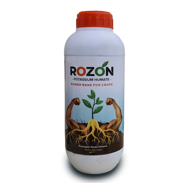 Rozon