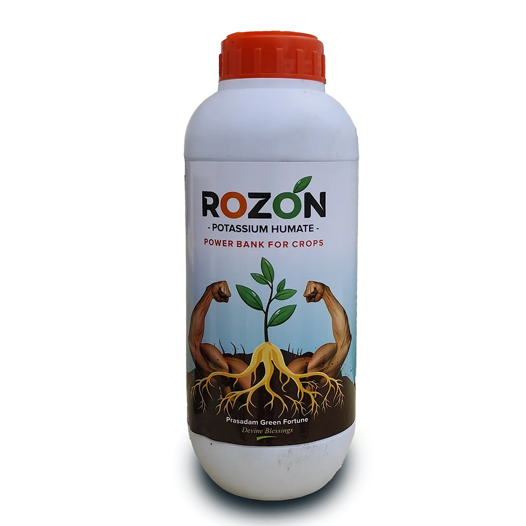 Rozon