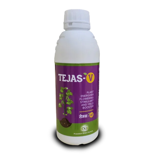 TejasV