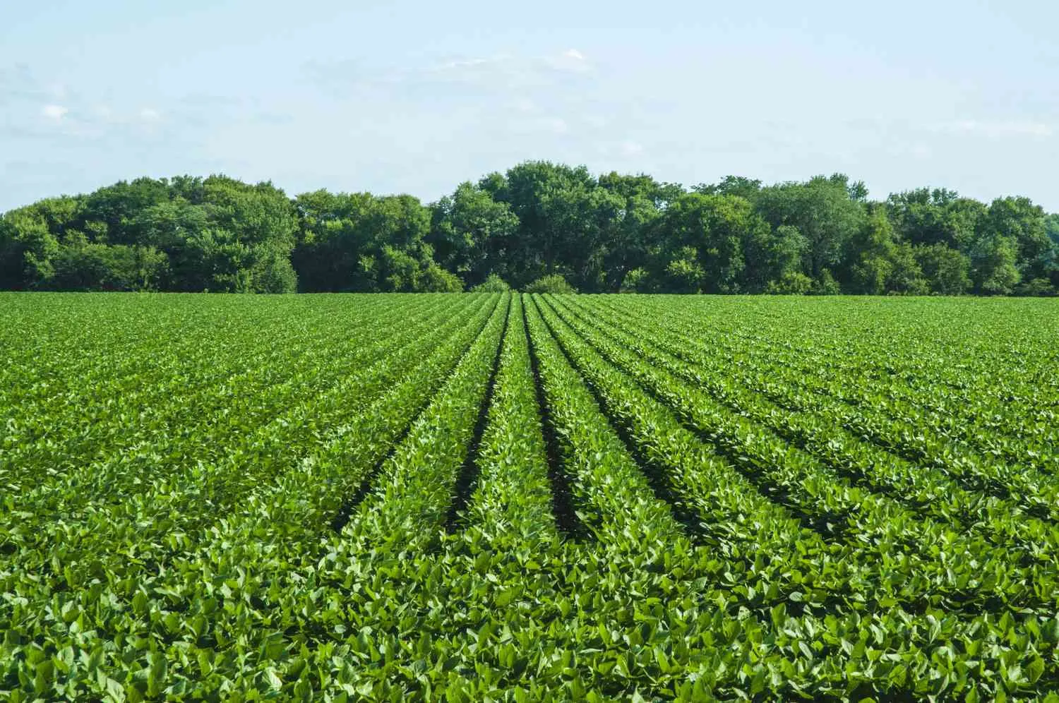 Boosting Farming Efficiency with Natural and Research-Backed Agro Solutions